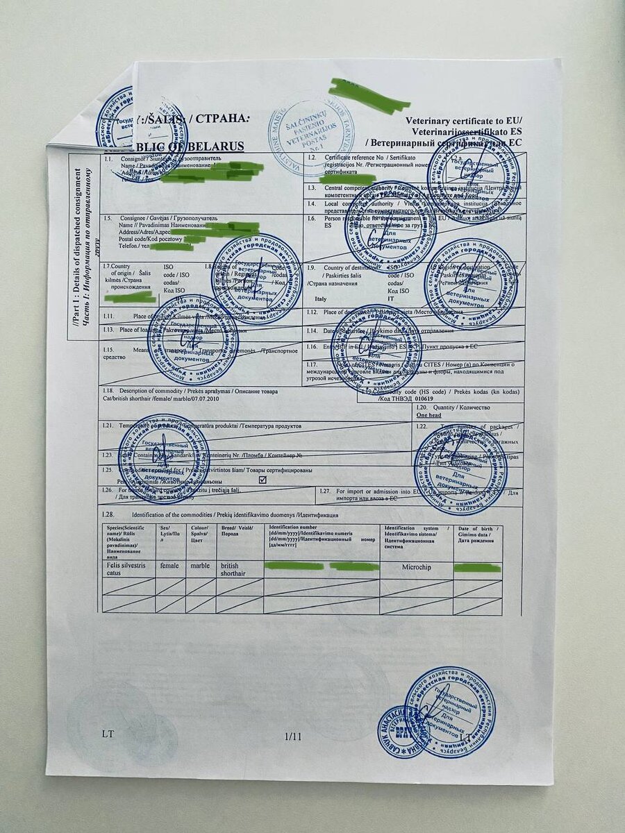 Ветеринарный сертификат