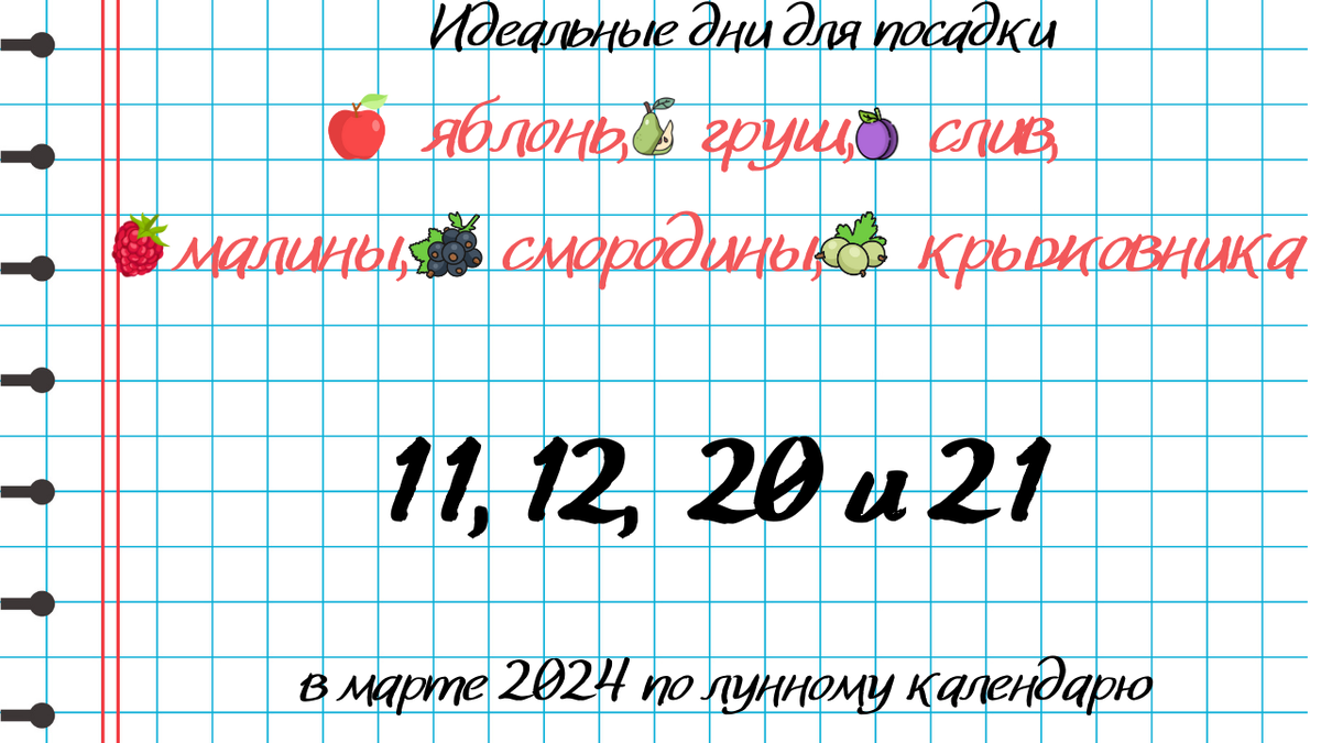 Дачный лунный календарь садовода огородника на февраль