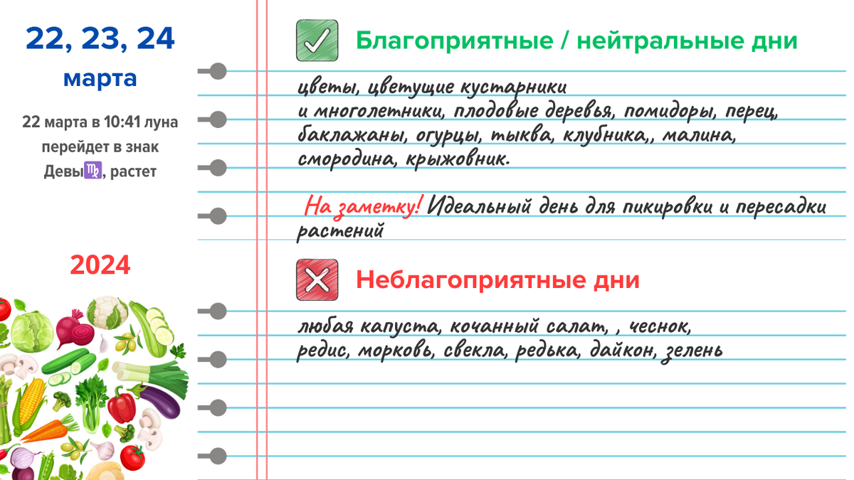 График посадки семян на рассаду в 2024г