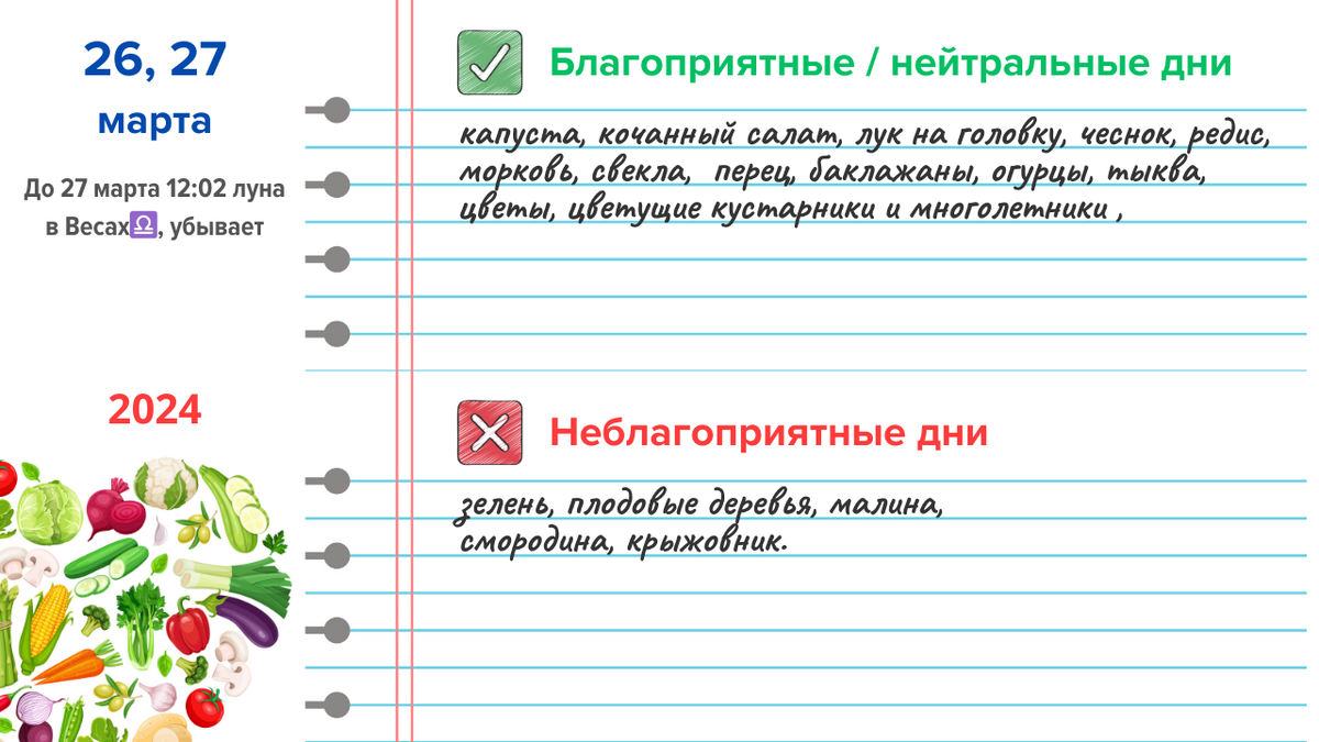 Какие цветы можно посадить феврале на рассаду