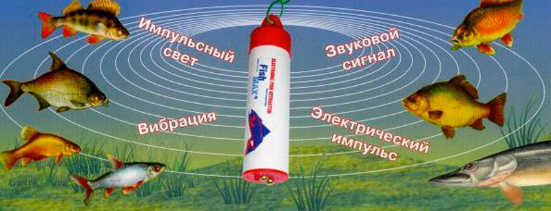 Электронная приманка для рыбы схема Что такое рыбопоисковое оборудование Рыбаку новичку на заметку Дзен