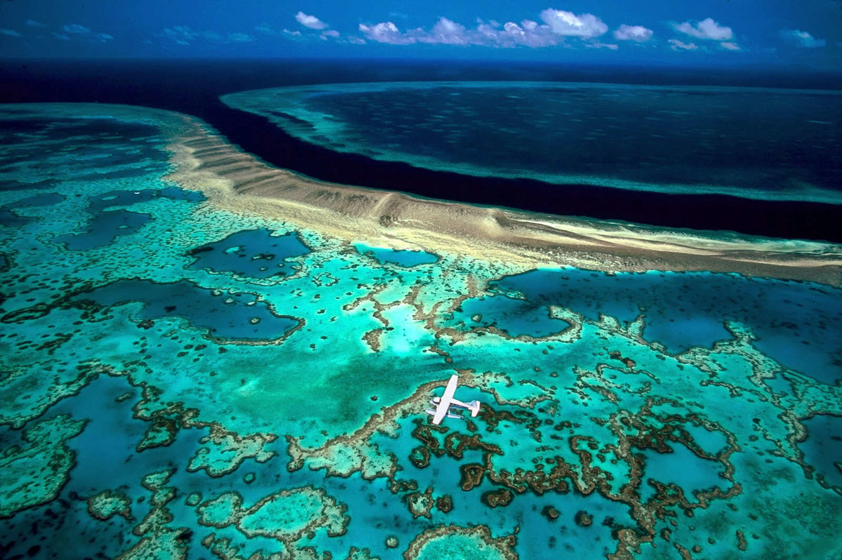Большой барьерный риф | Фото взято с яндекс картинки