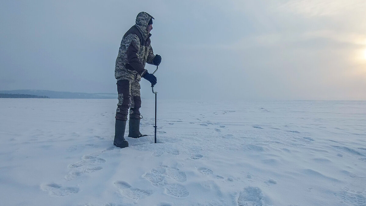 Боятся ли рыбы шума?