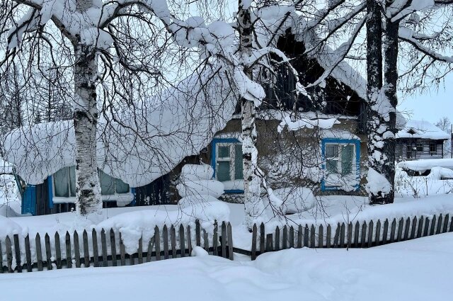    Приют, в котором якобы содержались бездомные собаки Фото: Прокуратура Красноярского края