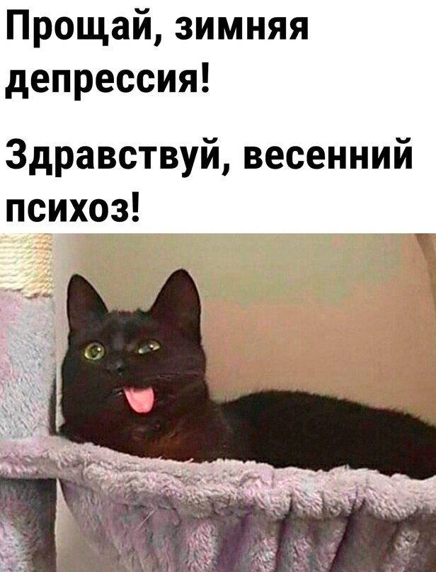 ну, не то чтобы совсем уж психоз :)