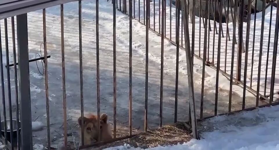    Пресс-служба Следственного комитета