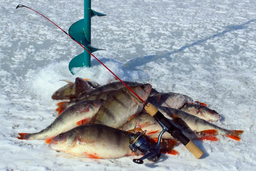 таблица когда клюет рыба. период рыбалки. рыбалка таблица клева. таблица клева окуня. период рыбалки.