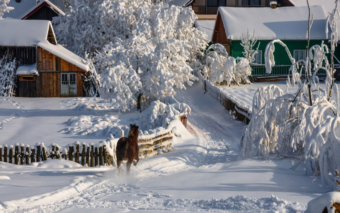 Яндекс картинки