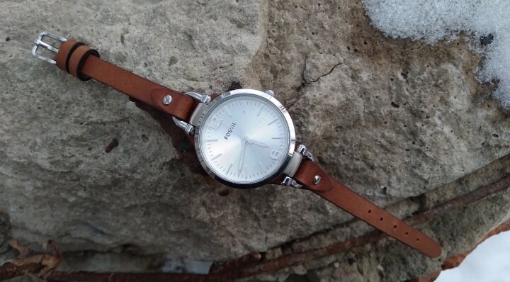 Фотографии автора 