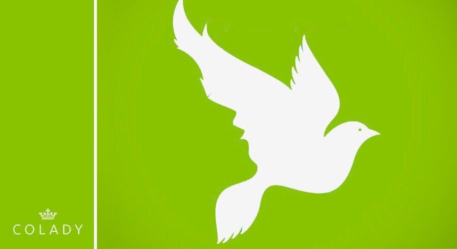    Иллюстрация Colady от Кирилла Даниленко Елена Вставская