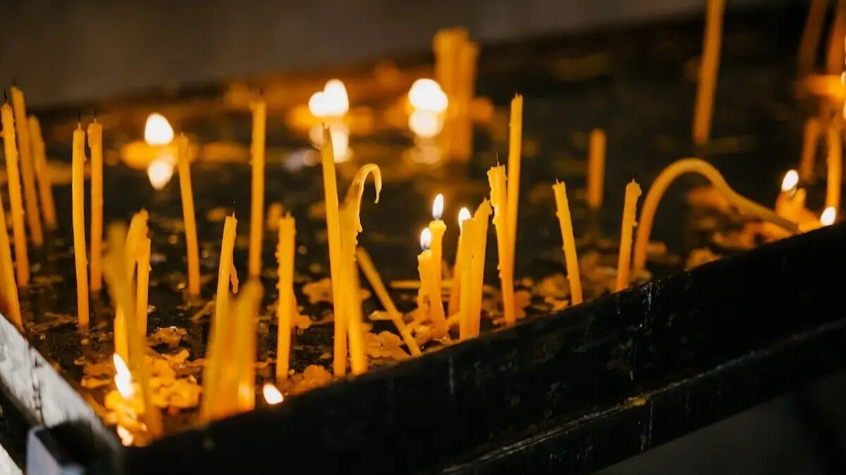    Фото: pexels.com