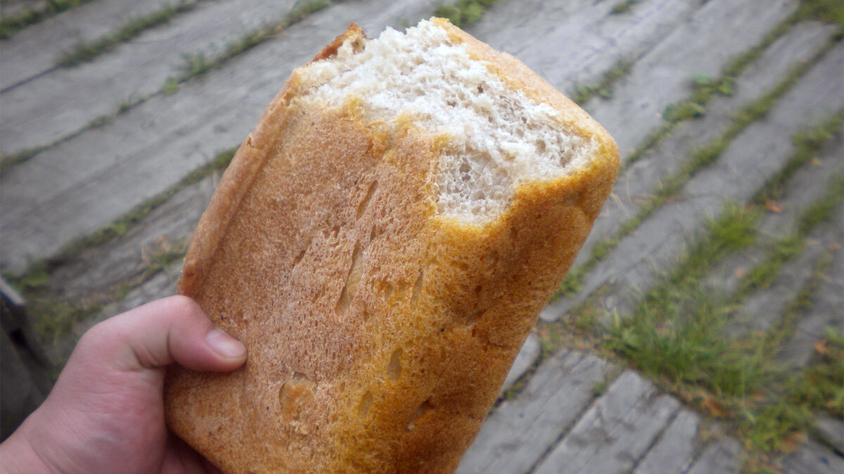 Фотография использована в иллюстративных целях и взята из открытого доступа Яндекс-фо