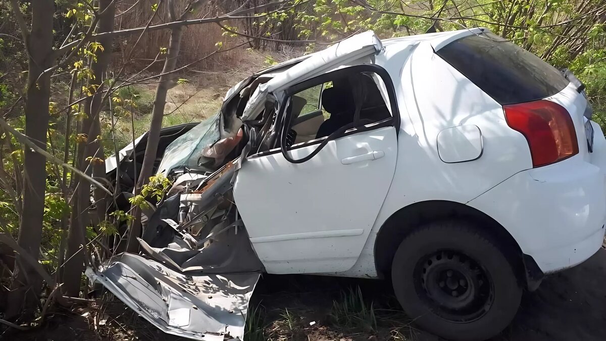     В салоне автобуса находились 40 пассажиров.