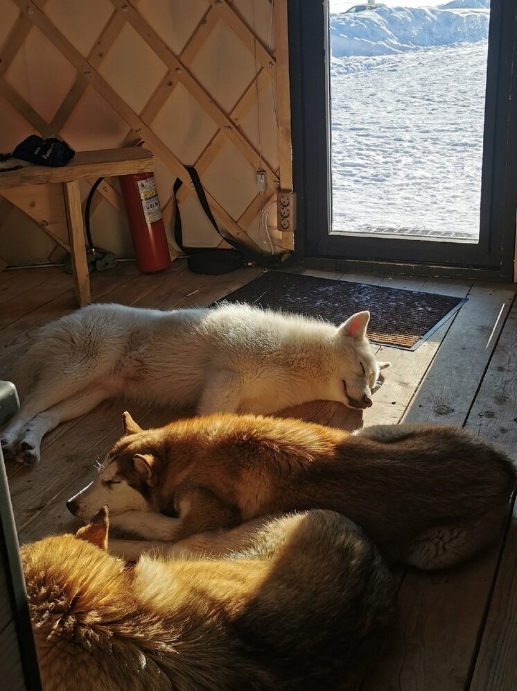     фото: Евгения Рогачева