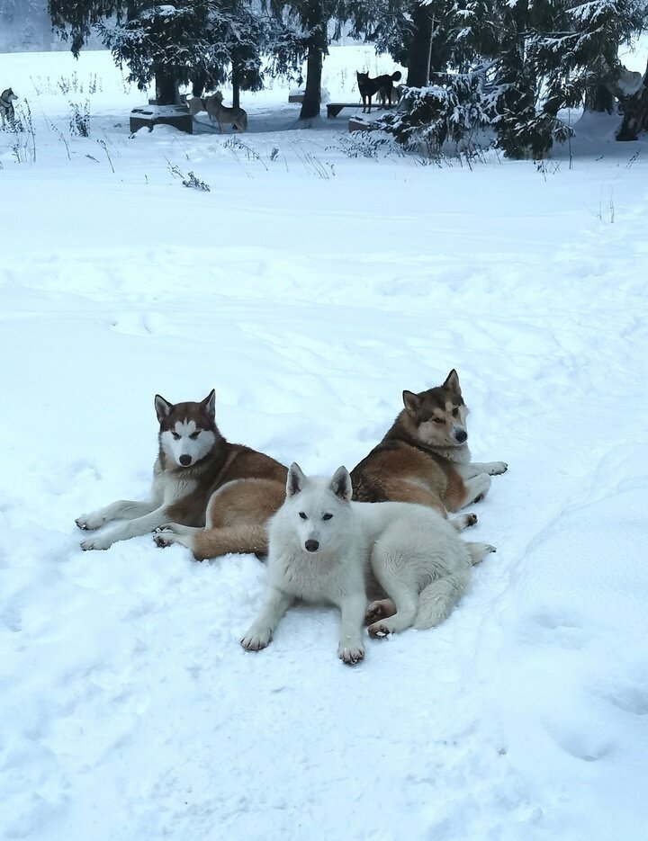     фото: Евгения Рогачева