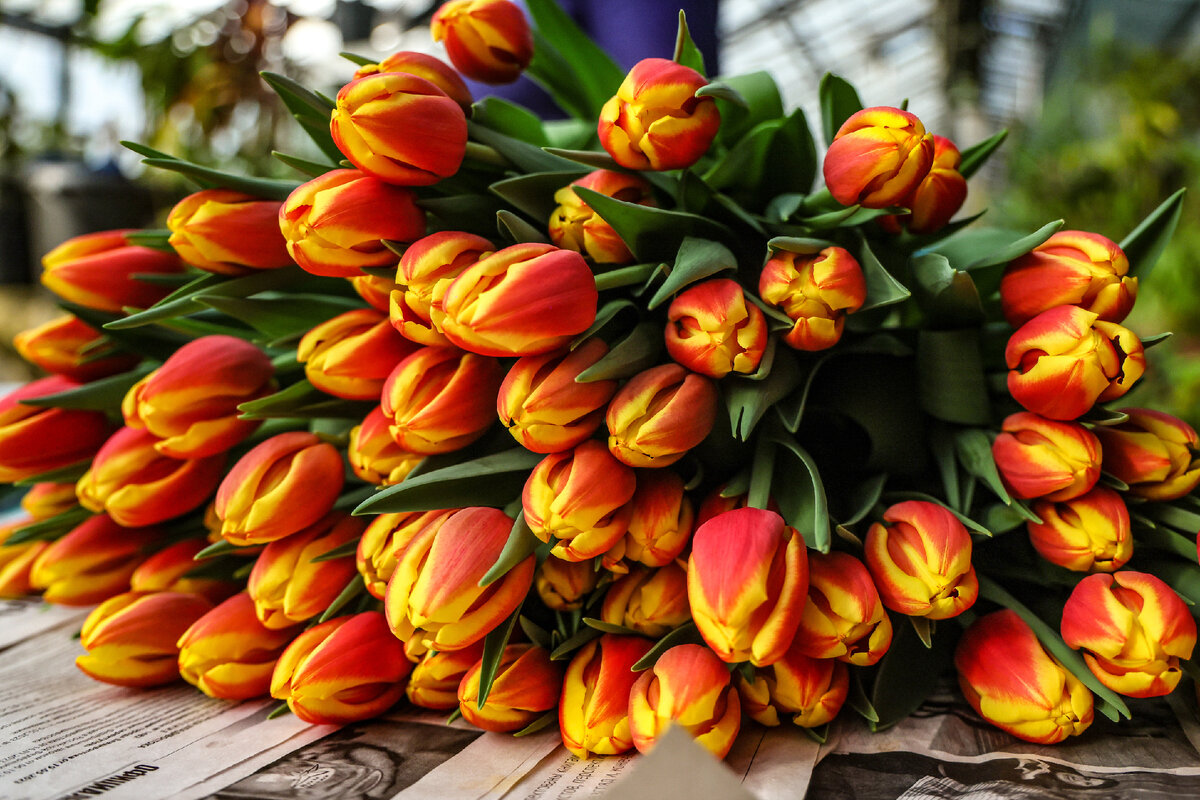 Автор фото: ТАСС