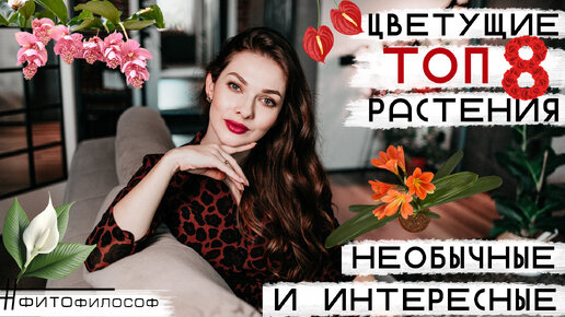 ТОП 8 необычных ЦВЕТУЩИХ РАСТЕНИЙ 🌺 Подарки к 8 МАРТА