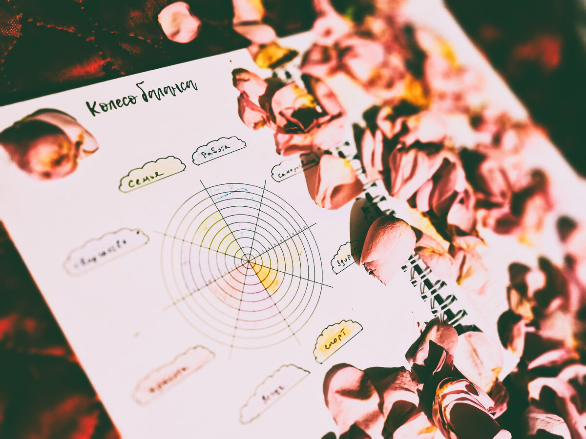 пример колеса баланса