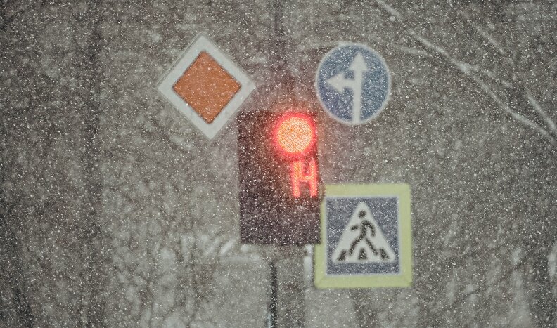 Светлана Мулькина📷
