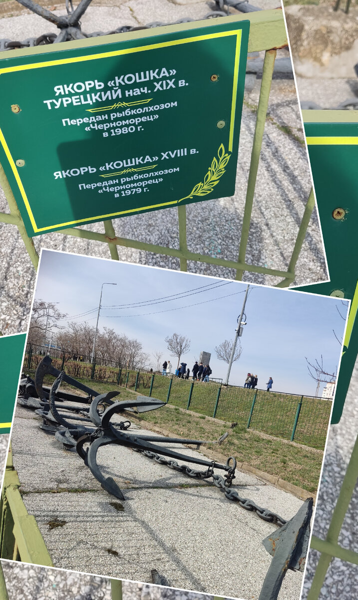 Якорь кошка