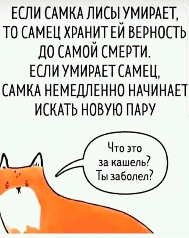 Яндекс.Картинки