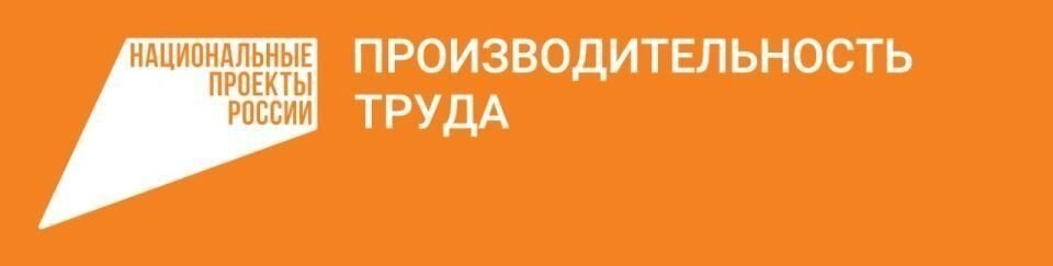    Нацпроект "Производительность труда". Источник: Алтайский центр кластерного развития