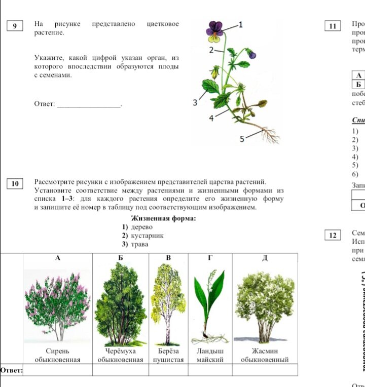 Впр по истории 6 класс курукин. Памятники культуры 17 века в россии история 7 класс впр. Впр по истории 6 класс 2022. Впр тип 8 6 класс история. Впр по истории 6 класс 2021.