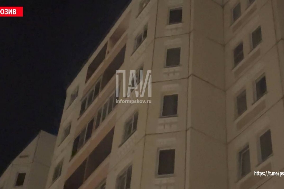    В Пскове госпитализировали выпавшую из балкона девятого этажа девушку