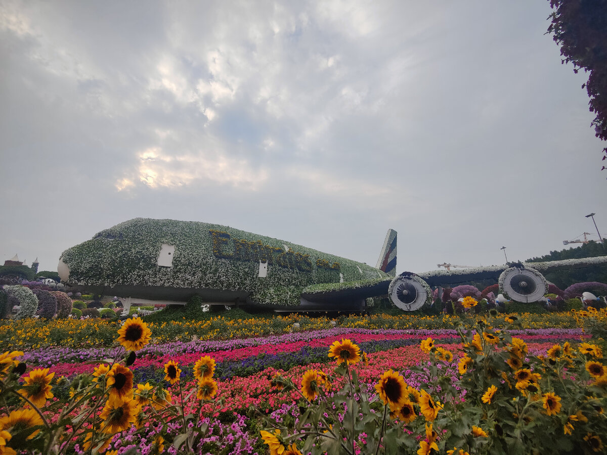 Miracle Garden 