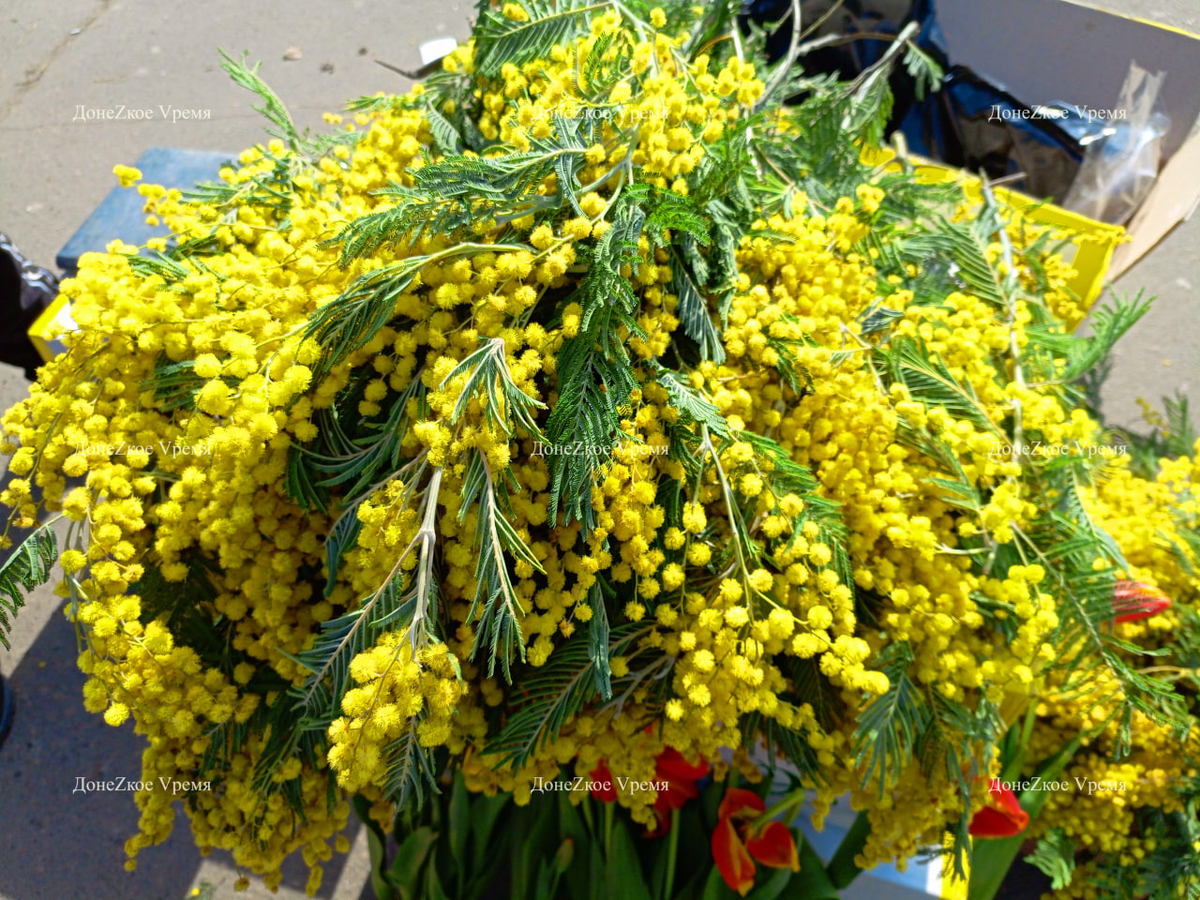  В цветочных киосках и на стихийных рынках в Донецке уже появились мимозы. Ветки этих цветов с советских времен считаются символом весны, их традиционно дарят женщинам к 8 марта.