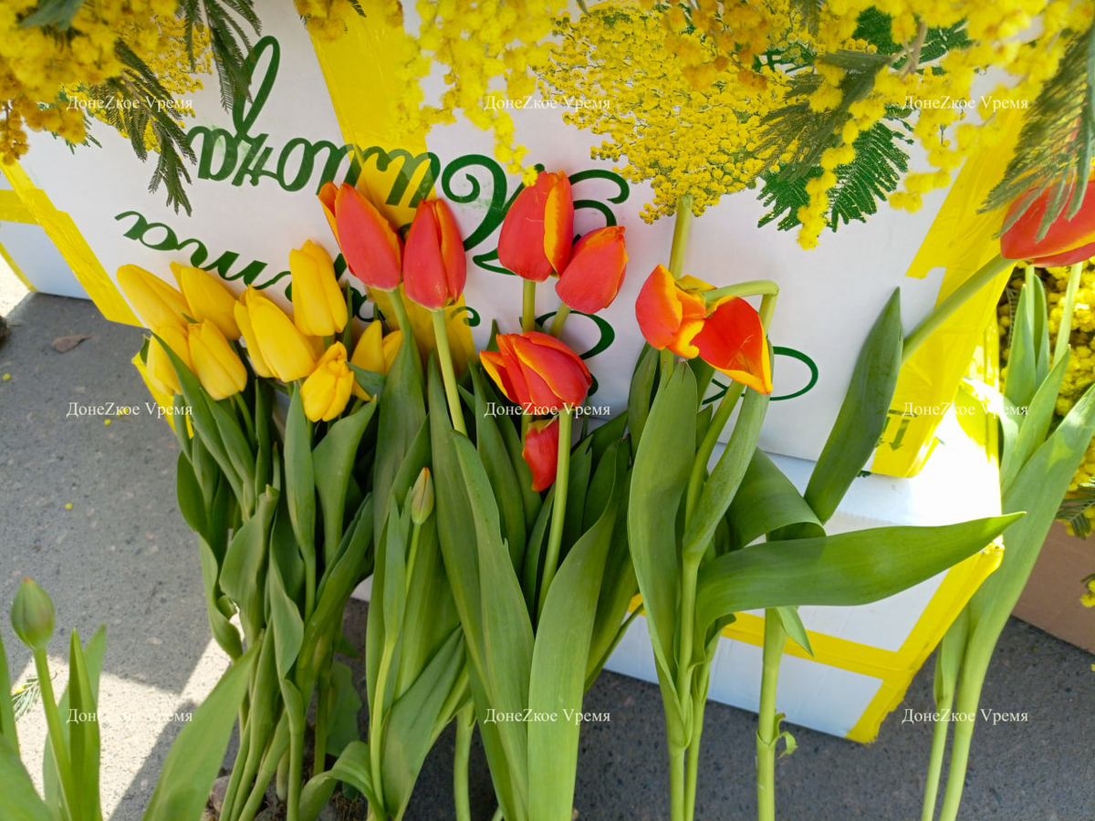  В цветочных киосках и на стихийных рынках в Донецке уже появились мимозы. Ветки этих цветов с советских времен считаются символом весны, их традиционно дарят женщинам к 8 марта.-2