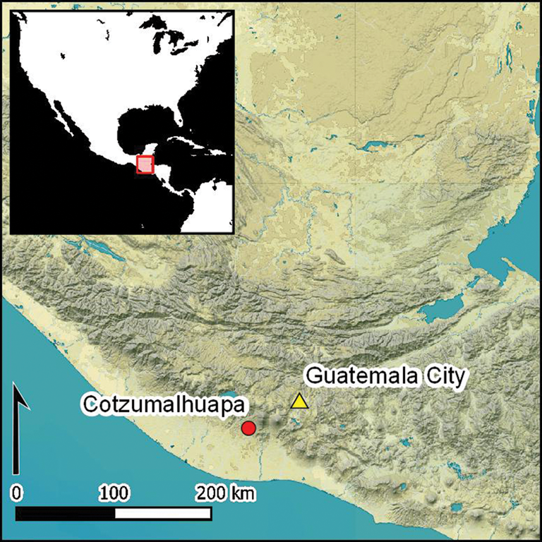   Adam Negrin et al. / Antiquity, 2024