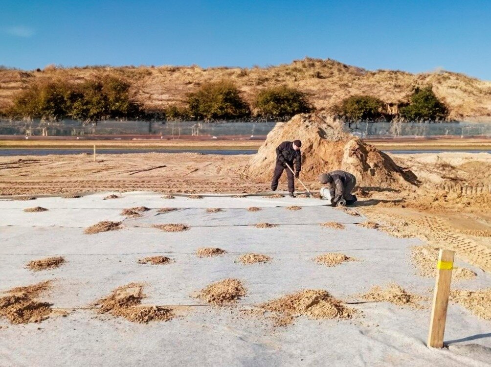    обработка Наталья Савченко