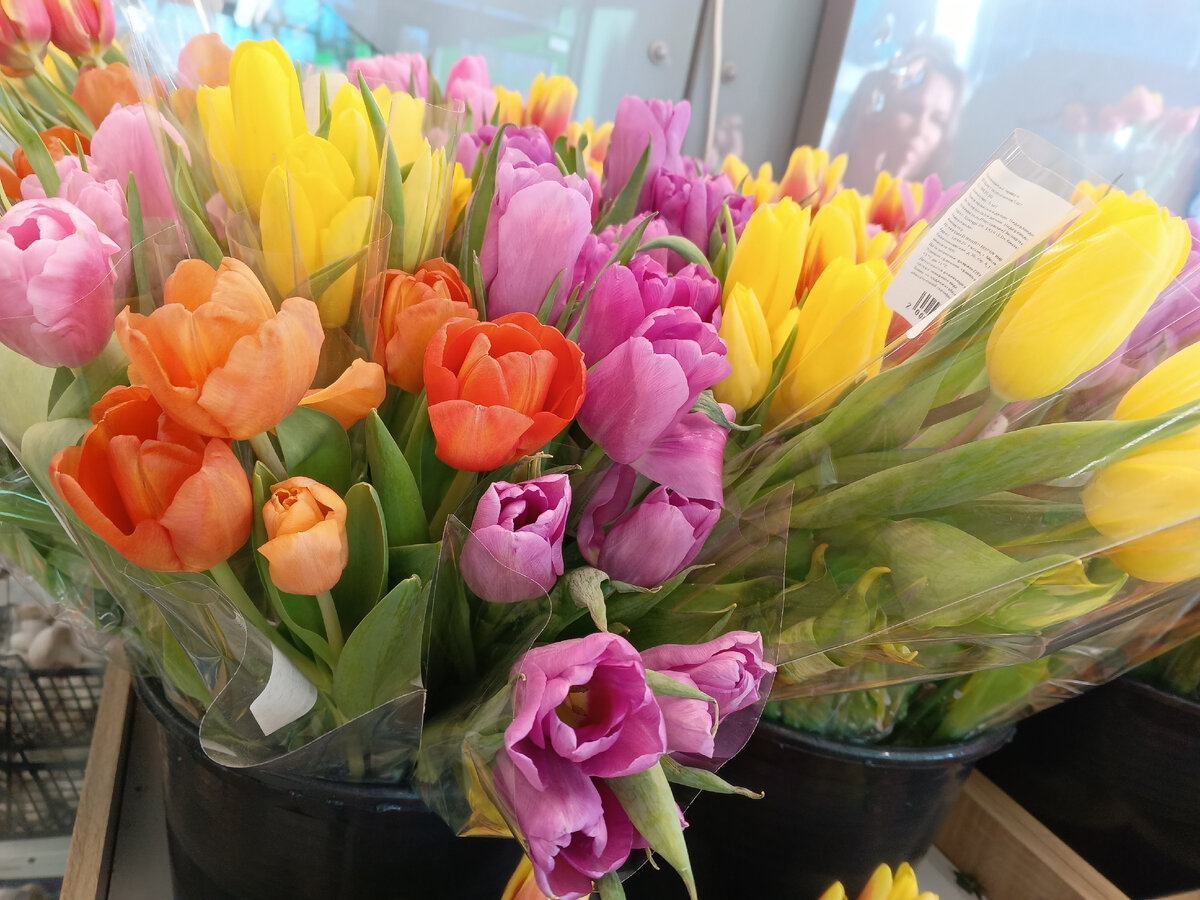фото автора, у нас уже вовсю продают тюльпаны