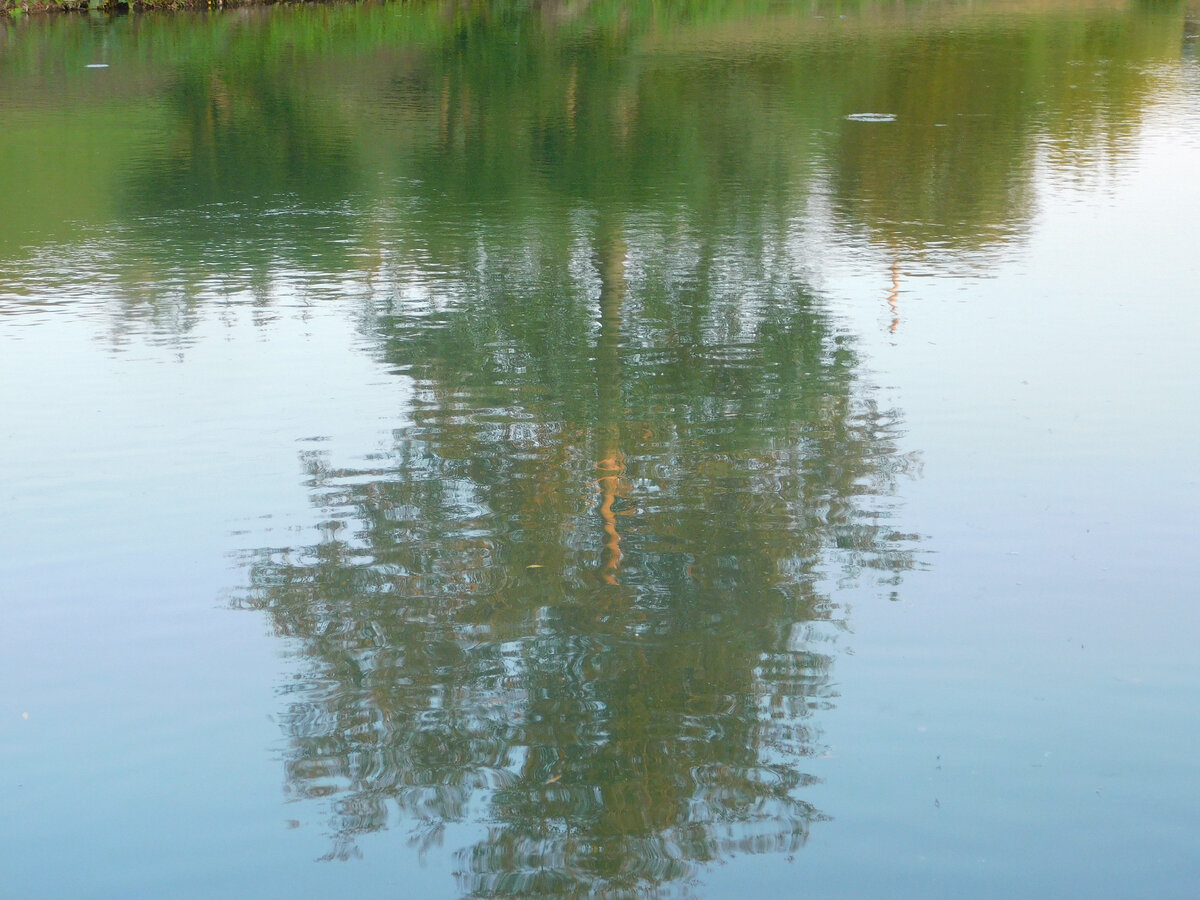 Фото автора канала