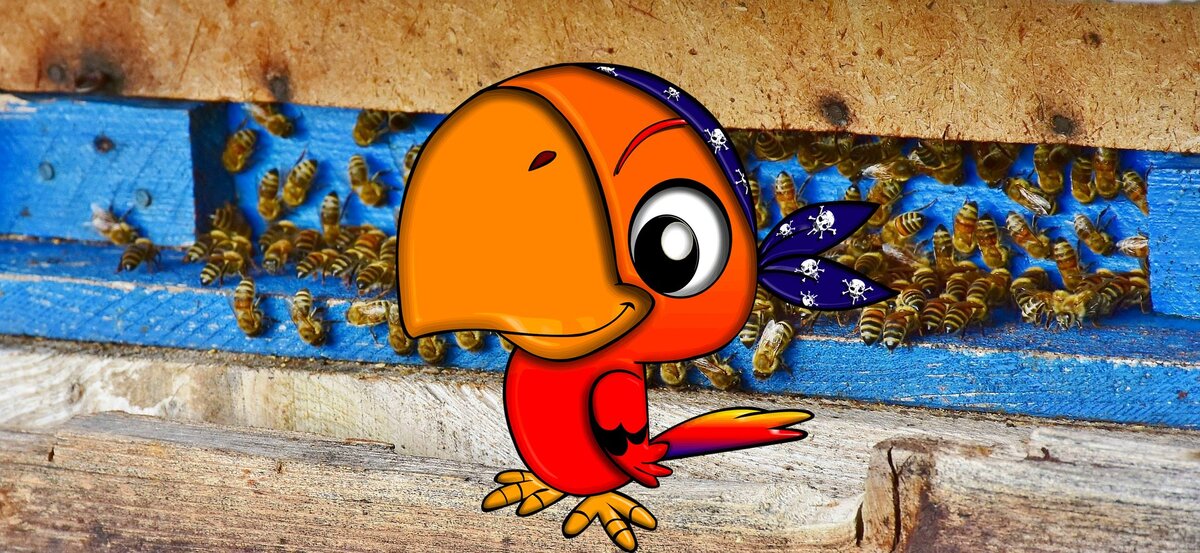 Про пчёл-воровок 2024