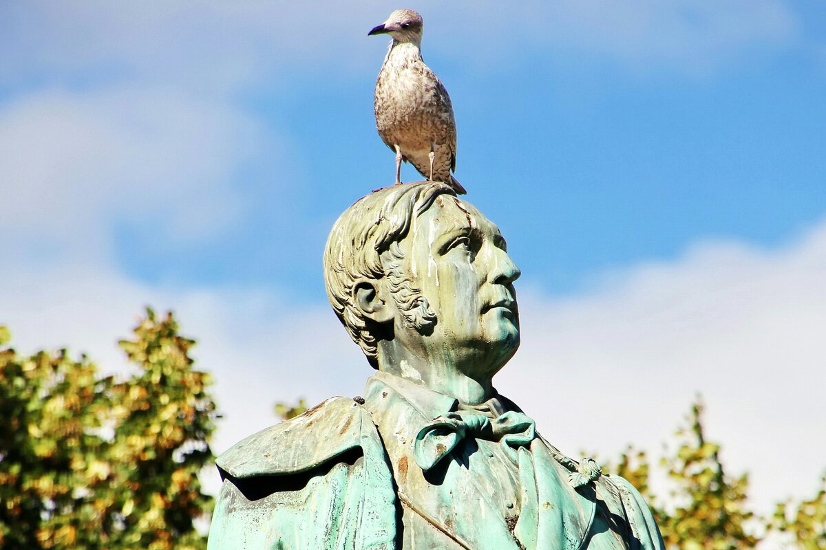     Сонник: к чему снятся фекалии