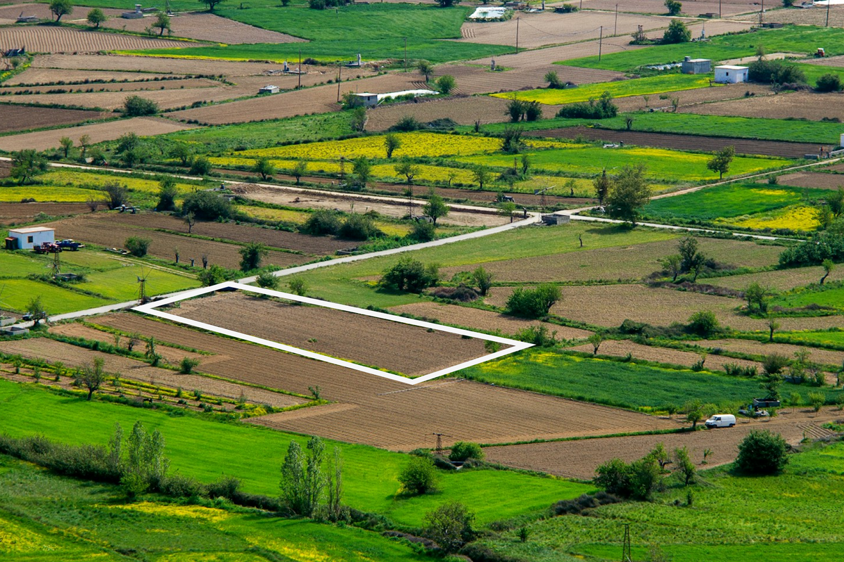 Источник: Авторский материал пользователя платформы. Источник фото: Unsplash (https://unsplash.com/)