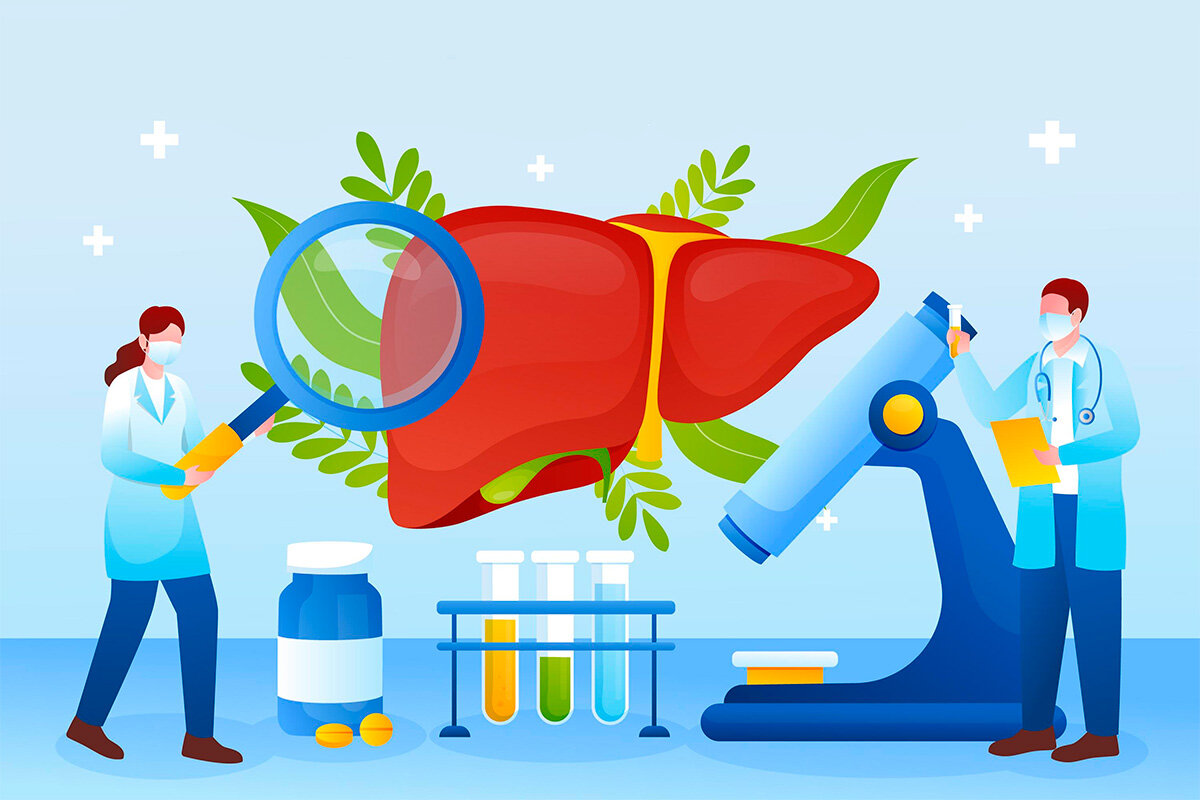 Обновленная информация о жировом гепатозе печени