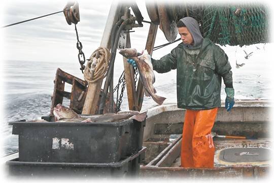    Власти РФ хотят подвинуть США в Беринговом проливе