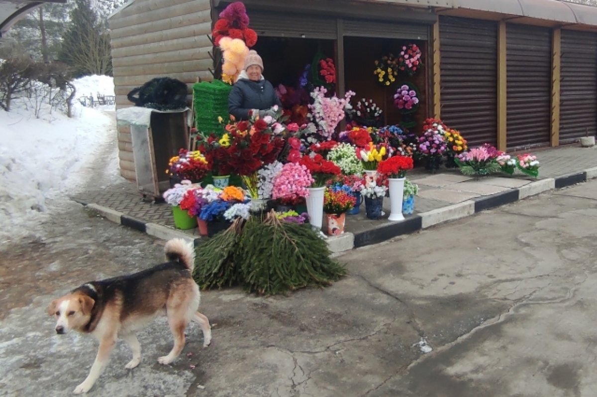    Продавцы рассказали о ценах на живые цветы у кладбищ Тулы накануне 8 марта