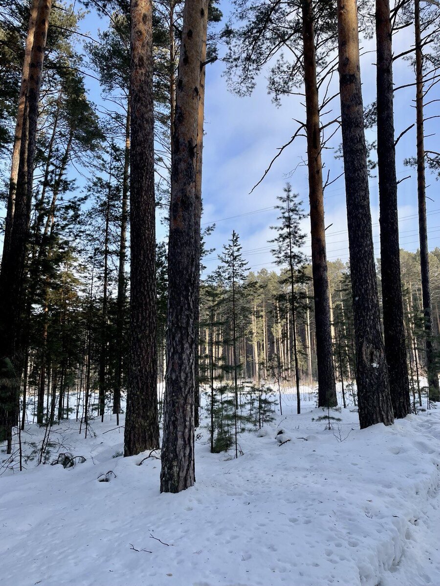 Вот где-то здесь и будем прятаться))