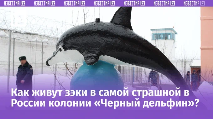 Фото: ТАСС/Юрий Тутов