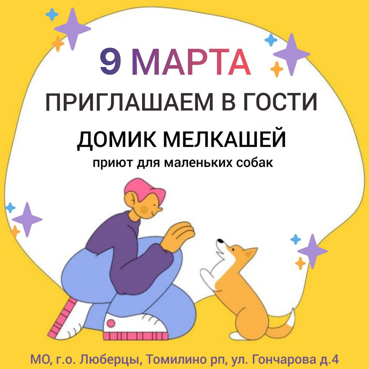 9 МАРТА! Приют Домик Мелкашей! Хвостики ждут знакомства с вами!🌸 | Домик  Мелкашей - приют маленьких собак | Дзен