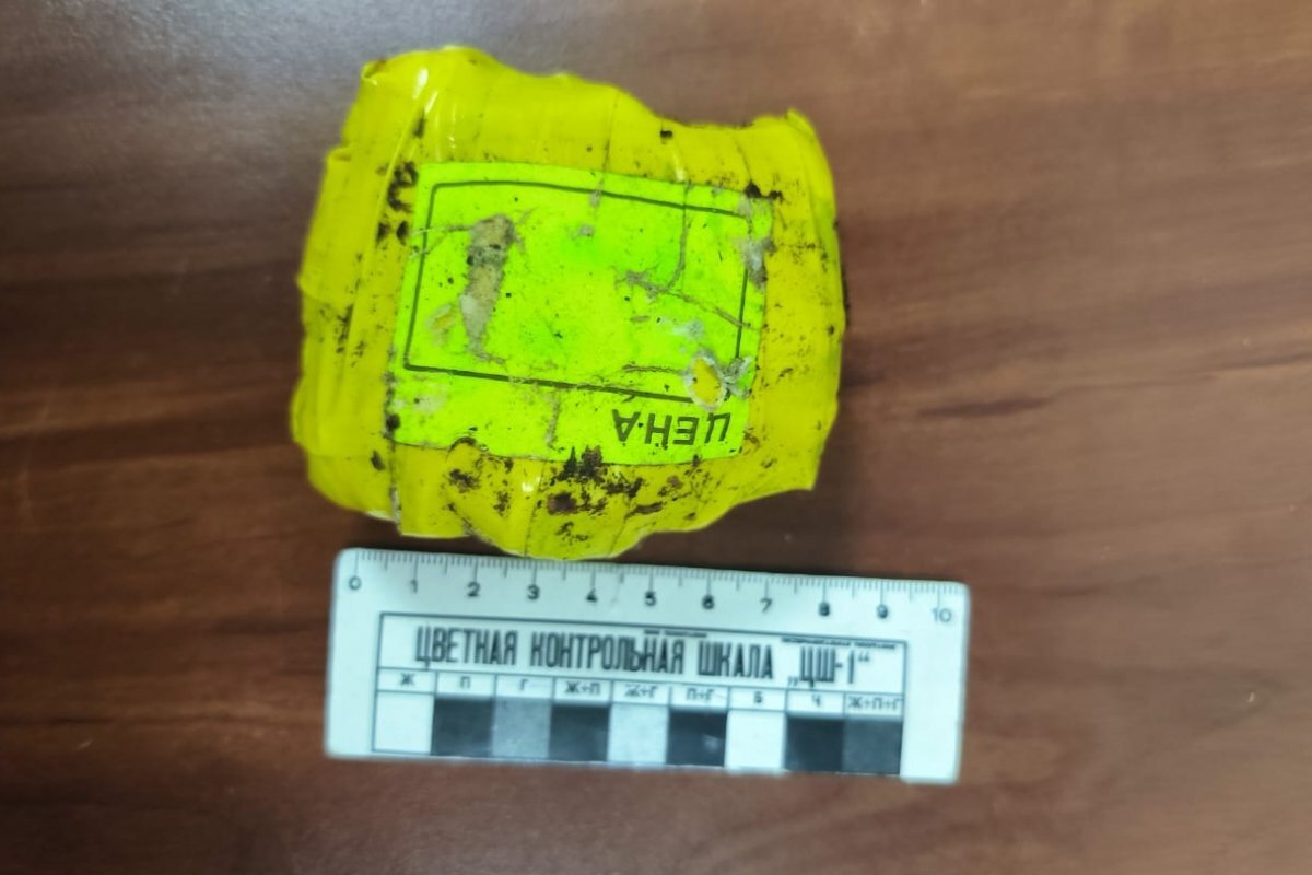    40 свертков с наркотиками обнаружили в сумке задержанной в Пскове женщины