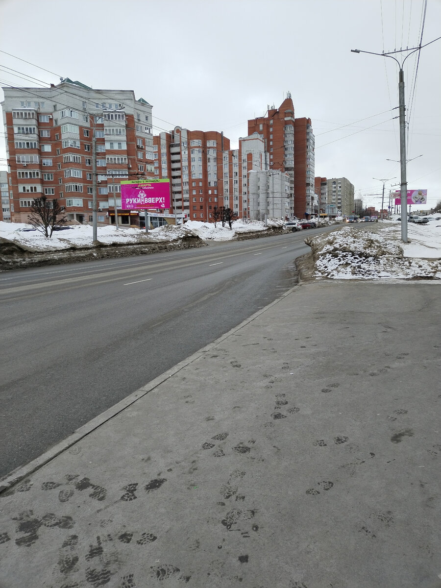 Утро. 6 часов. Ночью снежок припорошил.... 
