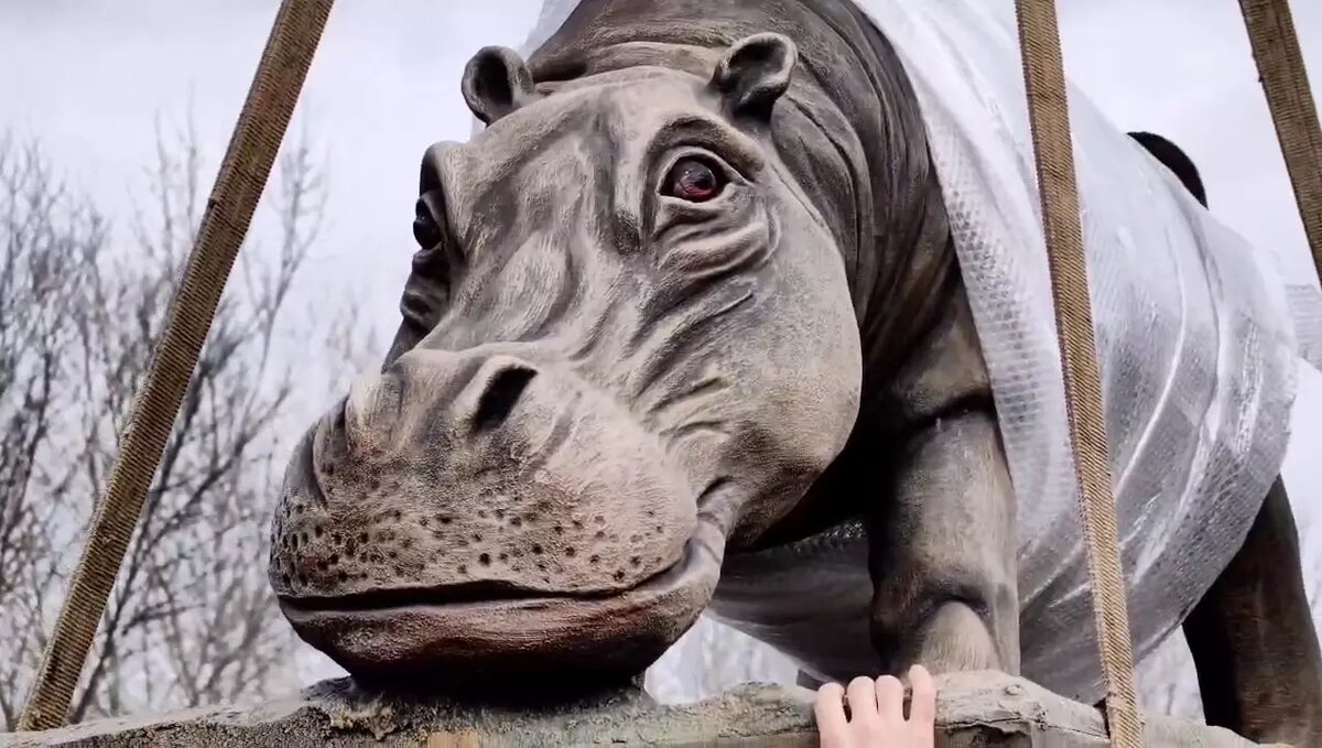     В зоопарке Ростова появился памятник бегемоту Рифу, рассказала пресс-служба учреждения.