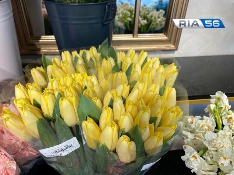    Тюльпаны по 100. На сколько подорожали весенние цветы в этом году в Оренбурге? Марина Шарт