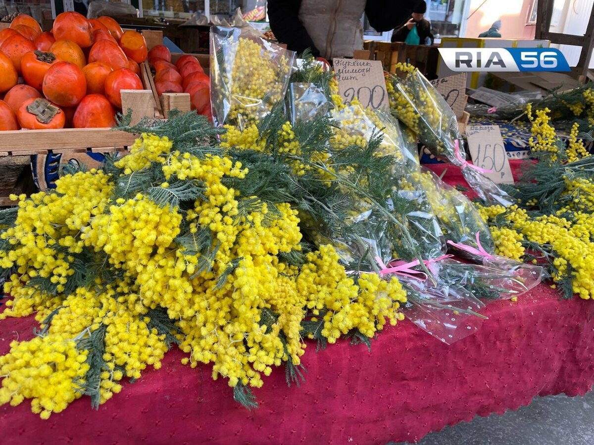   Тюльпаны по 100. На сколько подорожали весенние цветы в этом году в Оренбурге? Марина Шарт