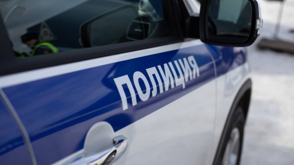    Полиция. Машина. Источник: Анна Меньшикова, ТОЛК